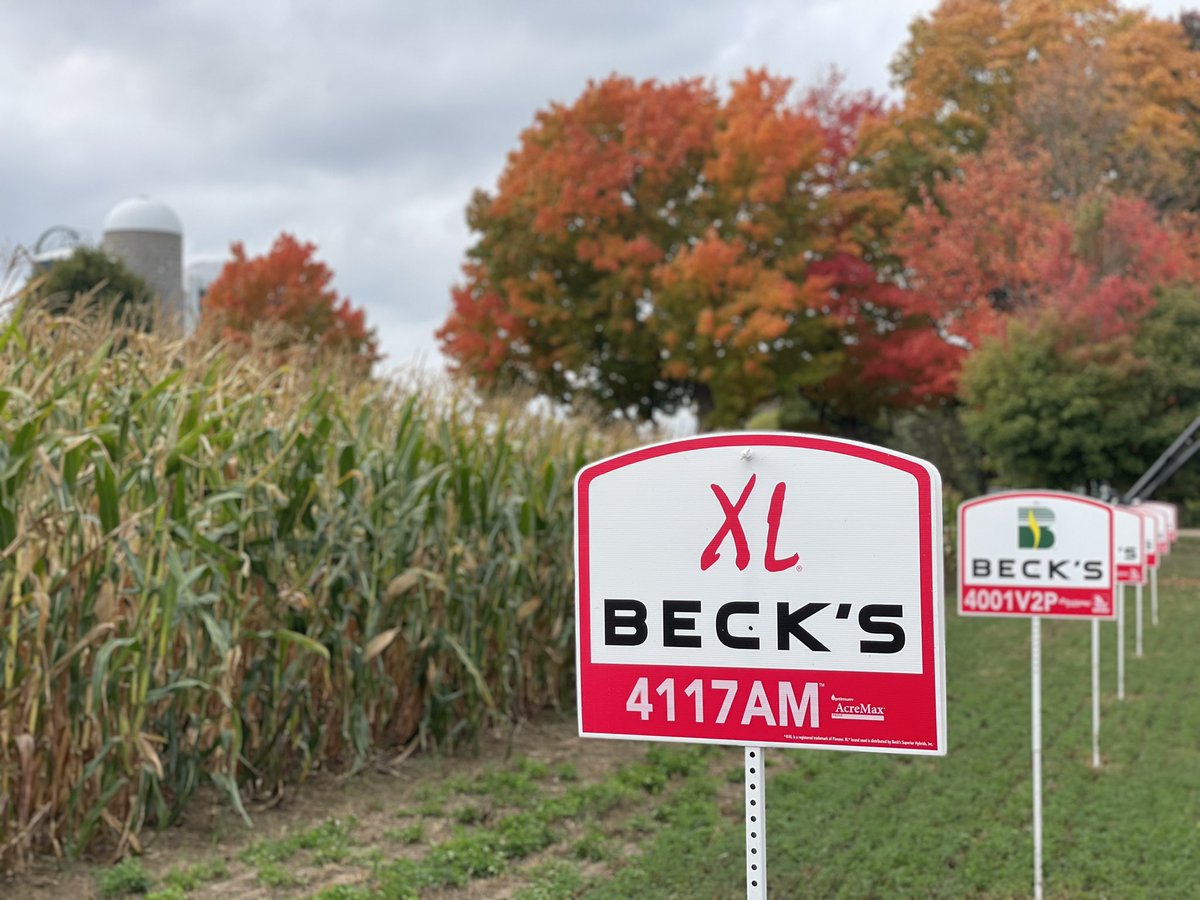 Heck of a plot day in Arpin WI.  Thank you Ed Kollross for the venue and Nieman Farm Services for supporting and Representing the <a href="/BecksHybrids/">Beck's Hybrids</a> brand. Looking forward to our second season together. <a href="/BecksAgWI/">Beck's Wisconsin Agronomy</a> #proud #plantbecks #familyowned