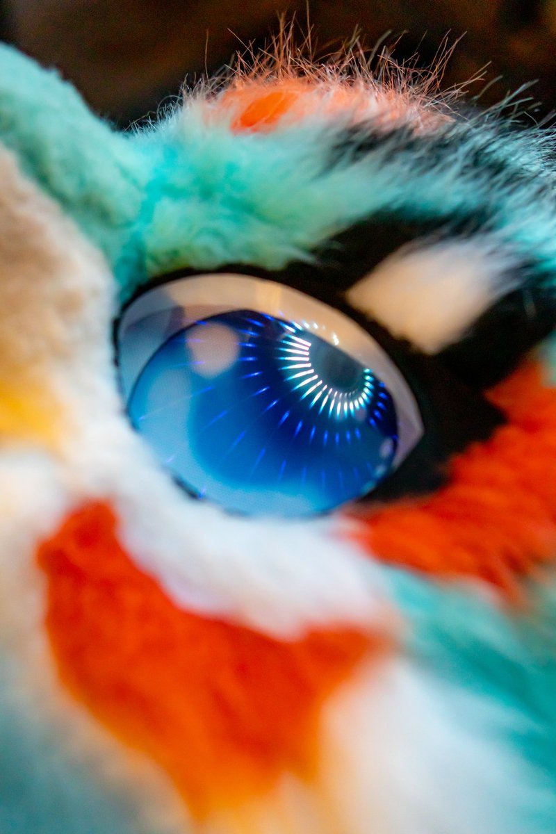 JabzPhotos's tweet photo. @DustyFox626’s suit. What a night!

#furry #fursuit https://t.co/63beIpBKxd