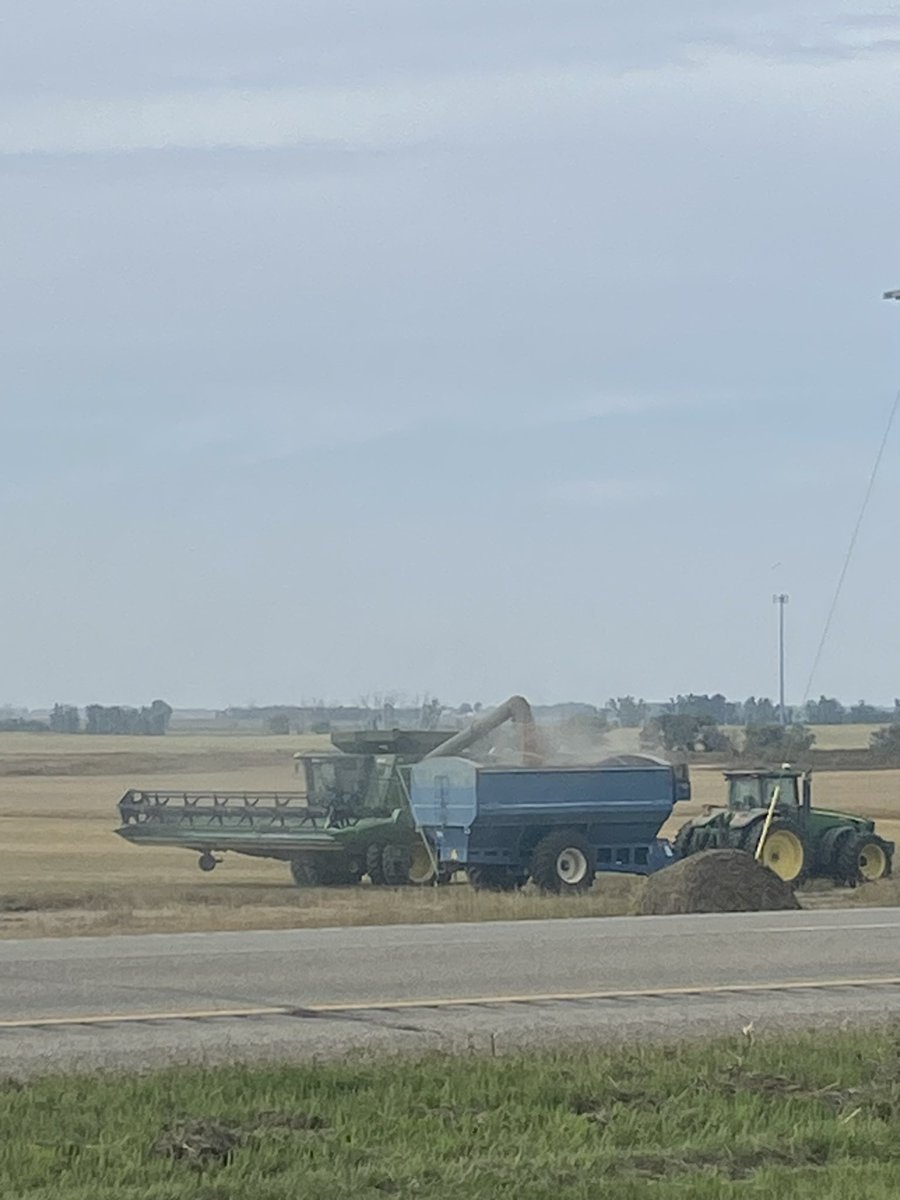 TimHoranUSRS_NP's tweet photo. James Peters harvesting his Wheat outside of Glenburn that was sprayed with Miravis Ace and soon to be on Canola that was sprayed with Miravis Neo. #miravischallenge #miravisace #miravisneo @Nelson_NPlains @TimMcIntyreNP @BChrisNP @SyngentaWestern https://t.co/LfbaXtX9OO