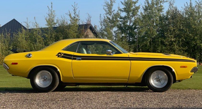 joe_macdougall's tweet image. 72 Banana Yellow