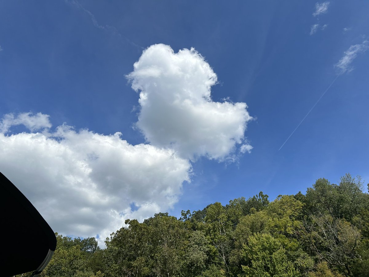 606kygirl2's tweet image. A beautiful day on the lake @_LakeCumberland @caverunmarinas @Kentuckyweather @JimWKYT @JoleneBlevins01 @thekyniche @Michael8301973 @EveryThngKy