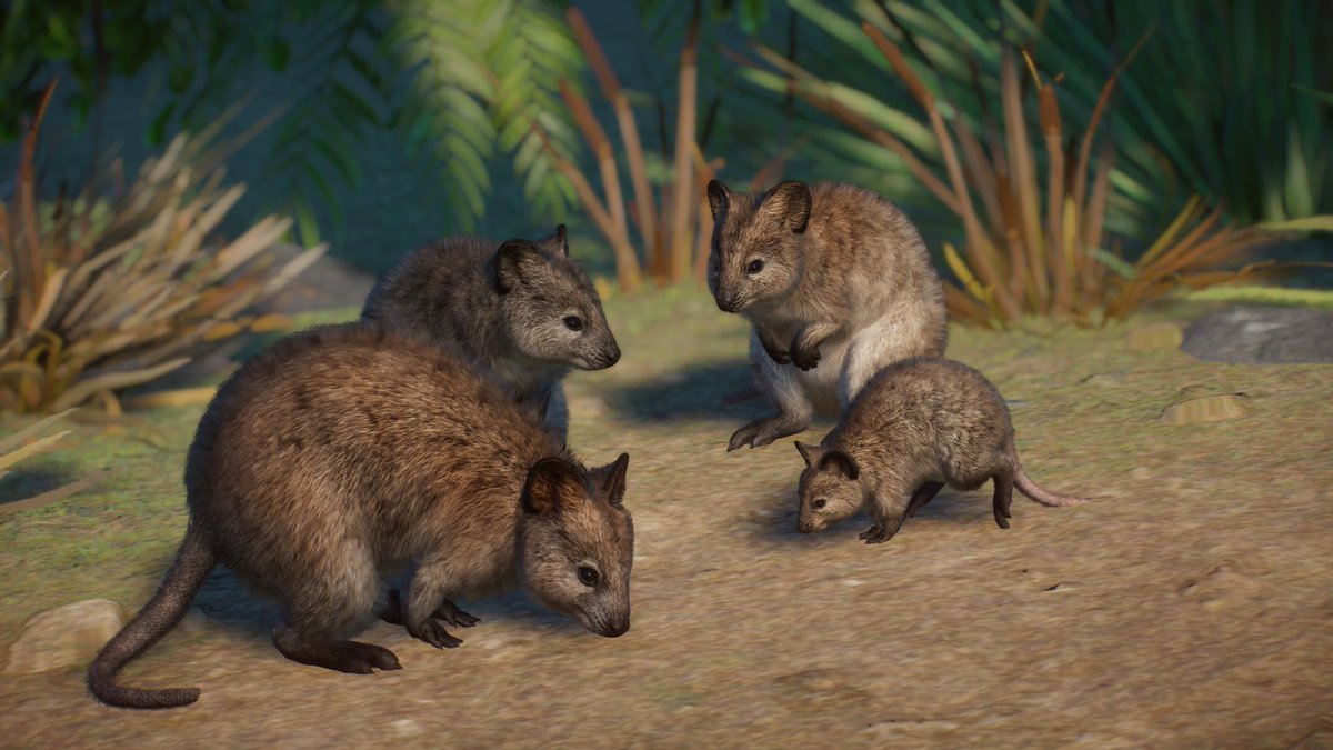 ThriveF17's tweet photo. Some screenshots of mine from the new Oceania Pack📸

Absolutely in love with the animals and foliage of this pack especially! Really beautiful stuff 👏 https://t.co/mamqYsgEE8