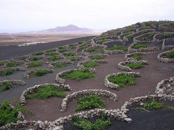 DastagirEngr's tweet photo. Soil and water conservation https://t.co/cZJE4TKyXG