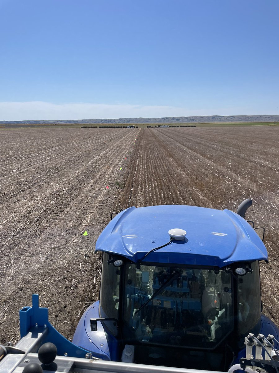 WheatInnovation's tweet image. Day 2, DLRF  Pierre, another 1500 plots in pea and soybean residue. #Slick #NoTillWorks
Now pray for 🌧️ 🌾🤞
#ThankYou  #Gratitude TeamWheat
#GrowWinterWheat 
@SDState