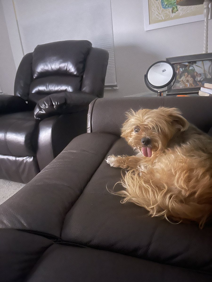 GG1894819097's tweet photo. I miss the simpler times . #OBWvortex TT or is it threads? I’m always lost my dog  thinks I’m dumb. https://t.co/yG4q9mrfjd