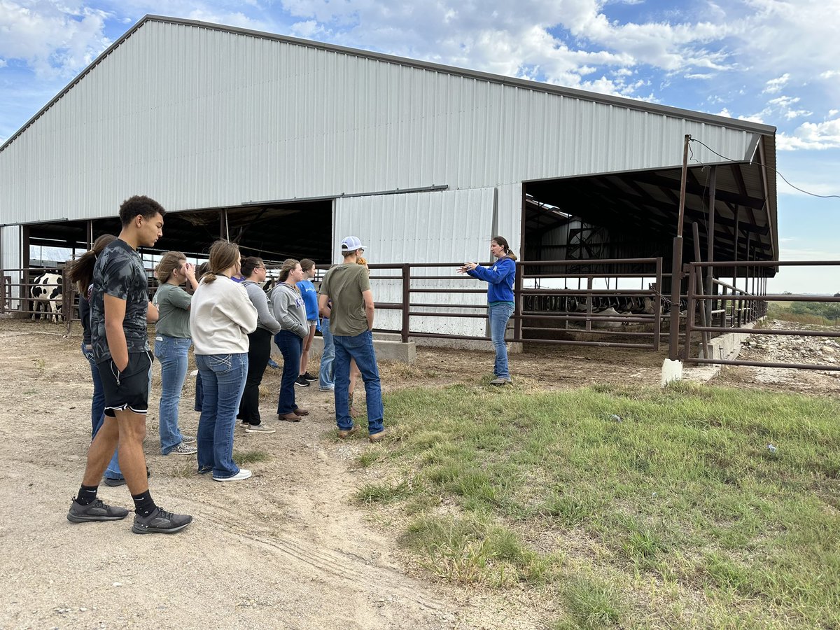 Gaea (Wimmer) Hock tweet media