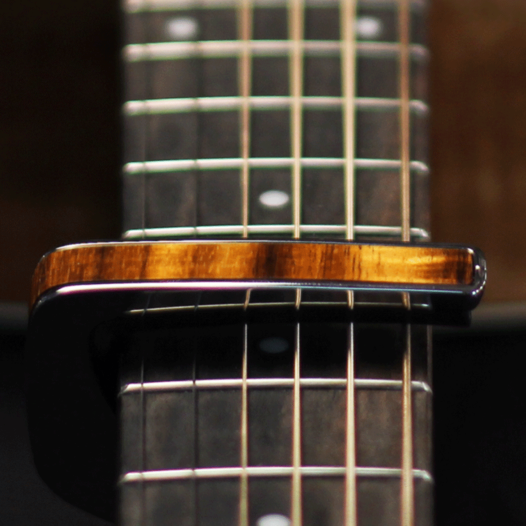 Thalia Capos & Picks tweet media