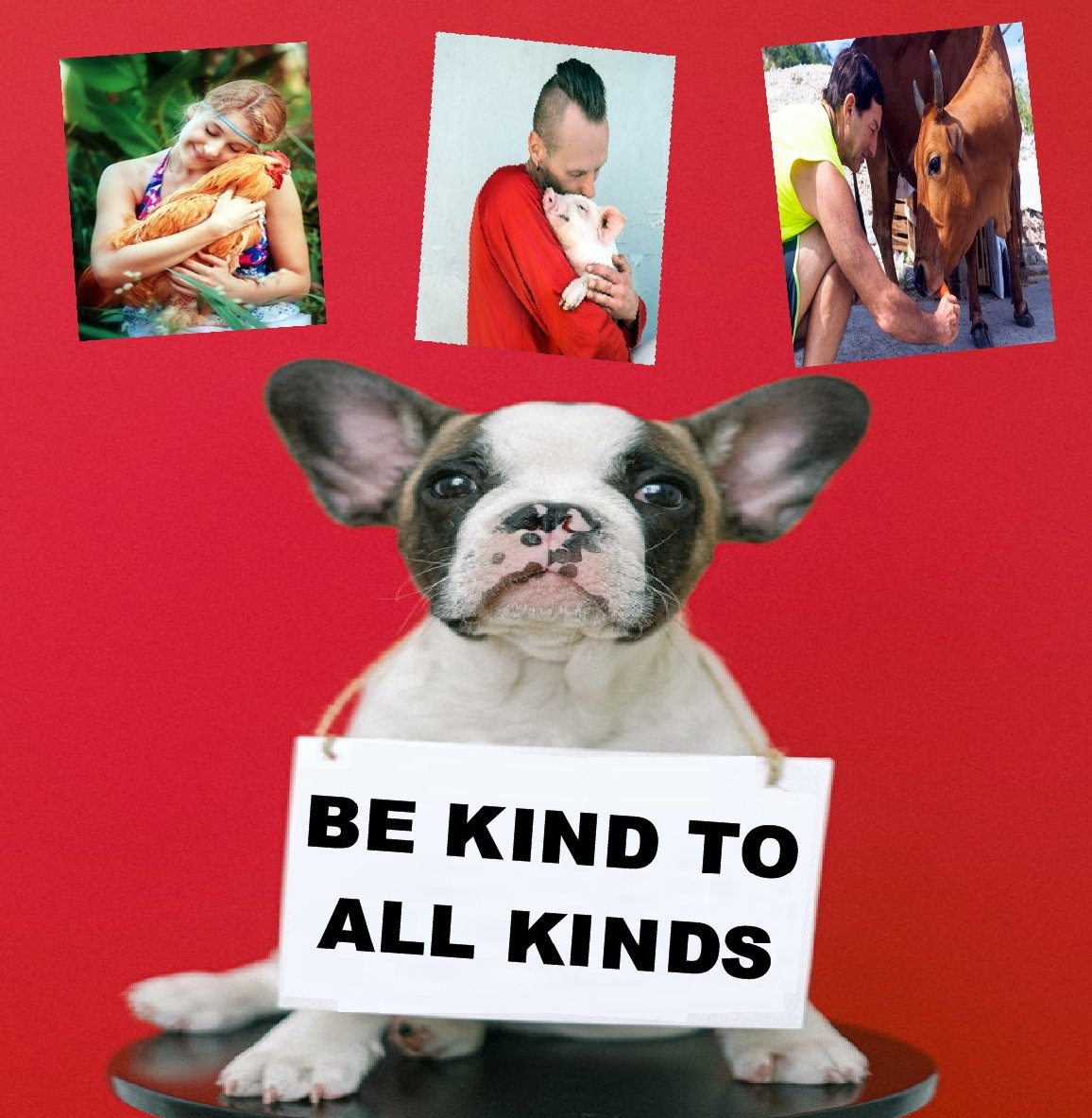 #bekindtoallkinds #animals #photos #kindness #compassion #vegan #equality #equal #pets #bethechange