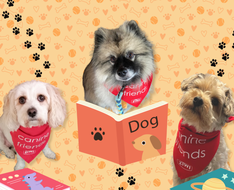 Wellington City Libraries tweet media