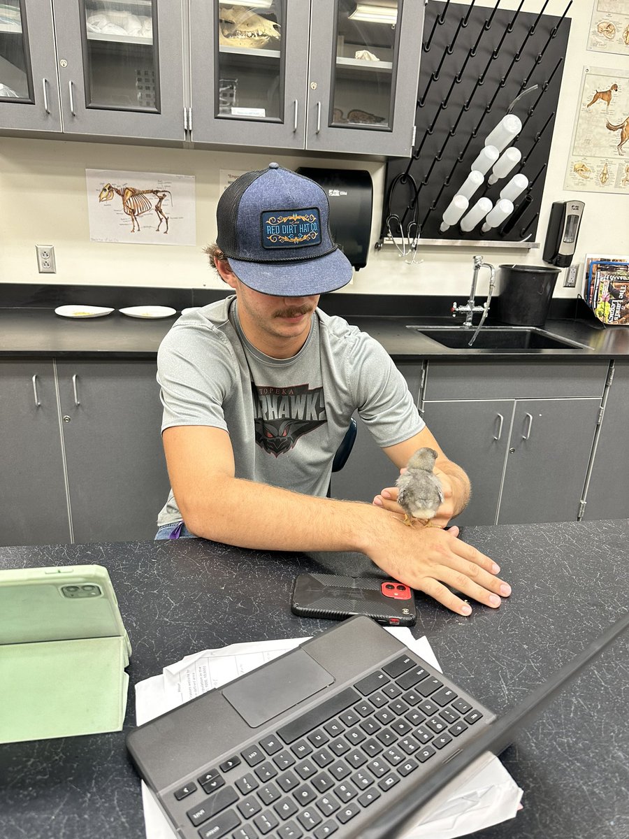 Our chicks have hatched and Ss are excited to be learning about handling, care and genetics in all of the Agricultural Science Classes. #chickens #teachag #eudoraproud