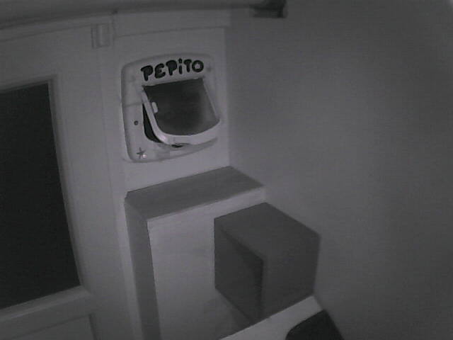 PepitoTheCat's tweet photo. Pépito is back home (00:29:27) https://t.co/xQWSuwXQF2