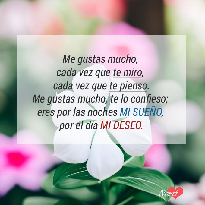 Me gustas mucho, cada vez que te miro, cada vez que te pienso.
Eres por las noches mi sueño, por el día mi deseo.
norfipc.com/frases-de-amor…
#megustas
#poemamegustas