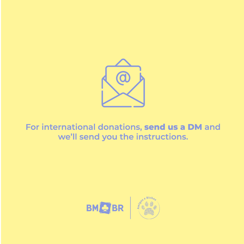 MatthewKim_BR's tweet photo. [♣️] 19.09.23 - FOREIGNER HIDDENS, YOU CAN ALSO HELP US 🤝🏼

Read the banners carefully and contact us if you can help, share it with your friends and family and let's do an amazing birthday for BM 🐶💛🐱

NGO @amigosebichossp (Instagram)
#BM #KARD @KARD_Official @_bigmatthewww https://t.co/Q6i7IYYdKB