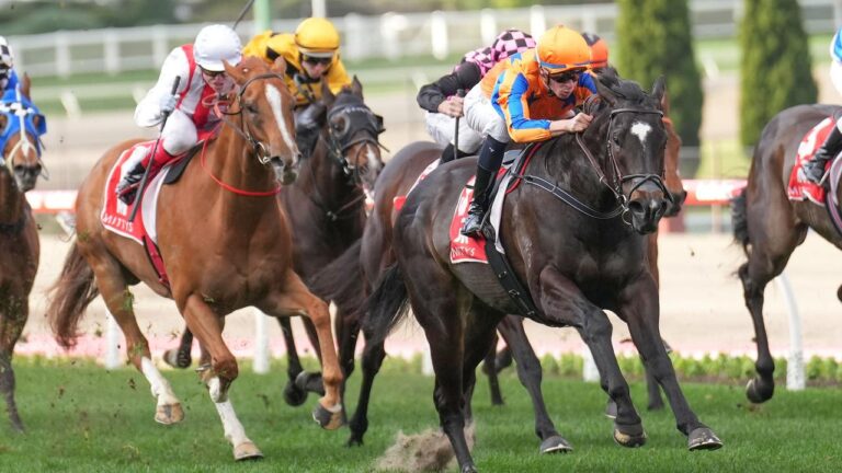 Giddy Up With Gareth Hall tweet media