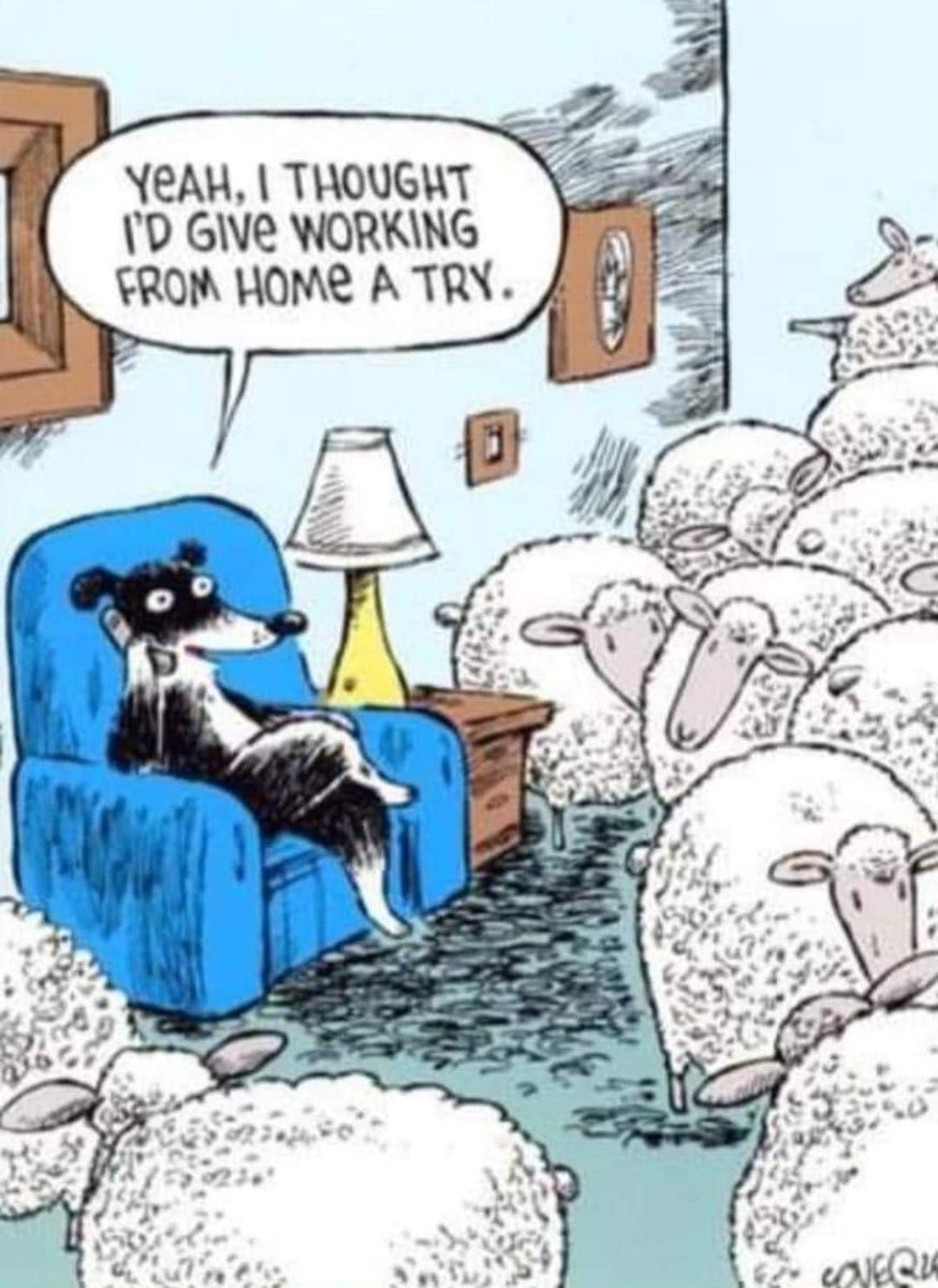 SteveBasic2's tweet photo. @OnAirAsAmy Amy, You must be happy that STWD is working at home. 😉😎😂🙂🫶🏻❤️❤️ https://t.co/WCLdJlNmK3