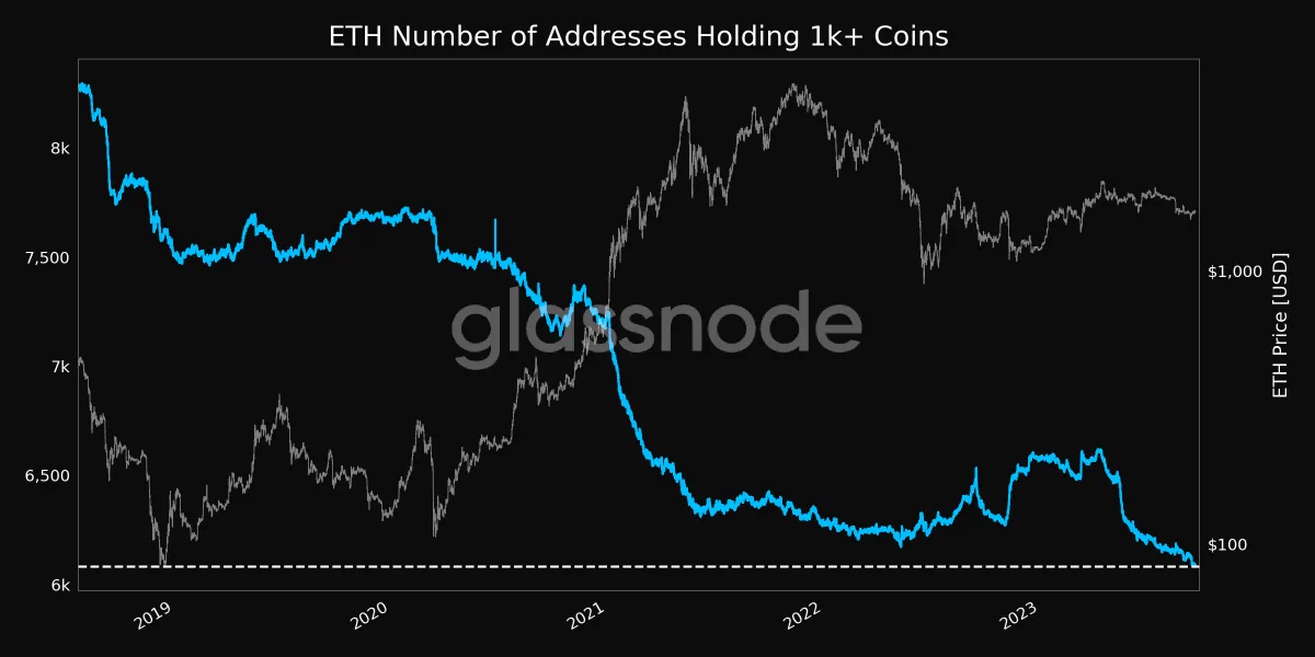 Ethereum (ETH) number of addresses holding more than 1000 ether.
