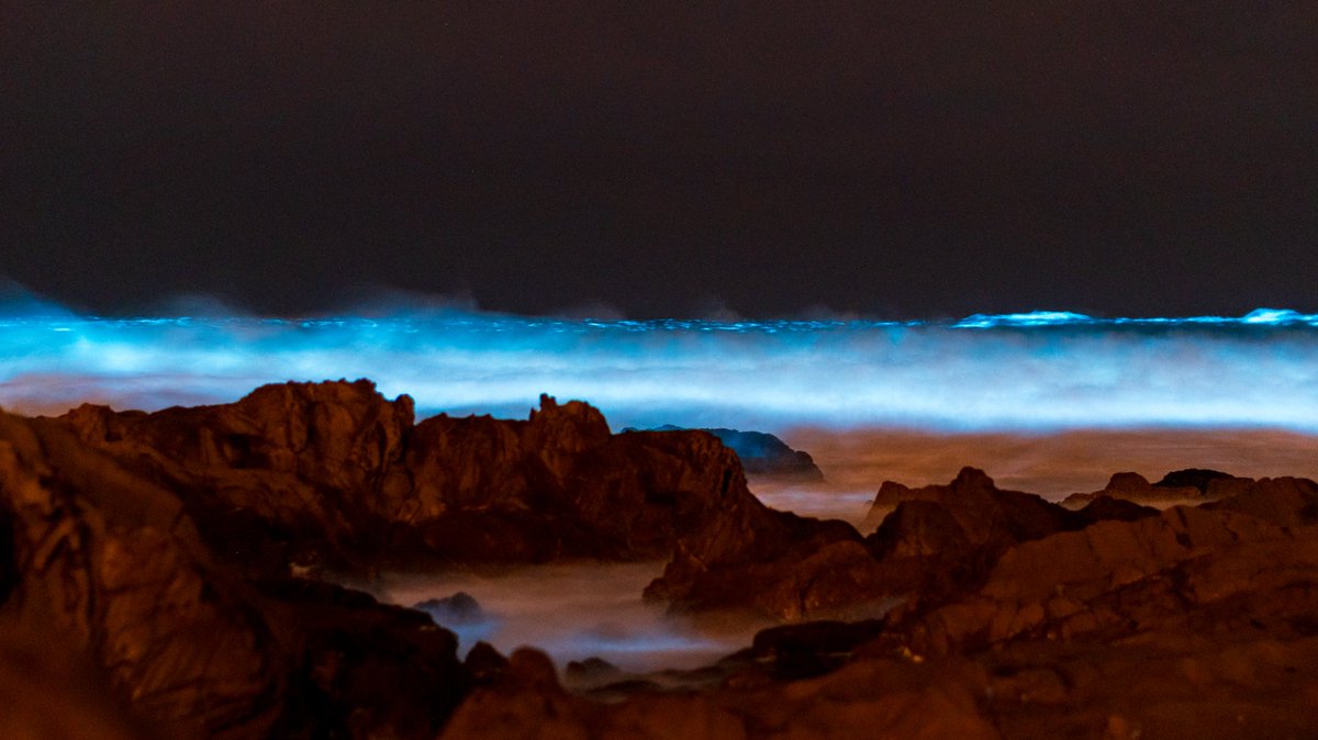 Philippe Portes tweet media