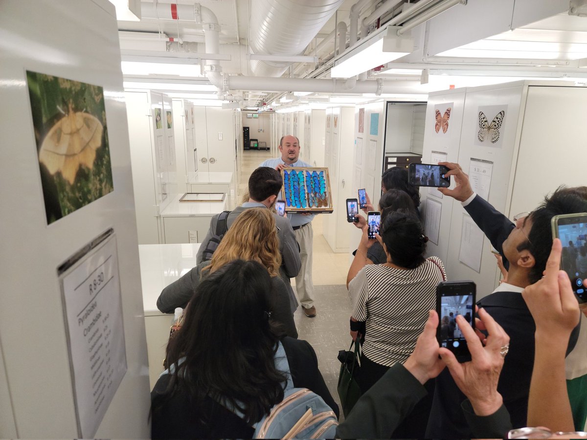ErinCadwalader's tweet photo. Great day with @EntsocAmerica Science Policy Fellows. We met the new @USDA_NIFA director, toured the ento collection with @Beetle_Guy, and met with several other agency folks on this gorgeous day. #EntVocate23 https://t.co/liJPslpy0z