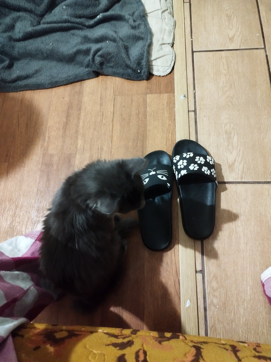 ThemLongSkirts tweet media