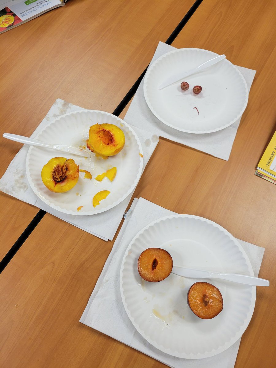 Learning about the traits of fruits!