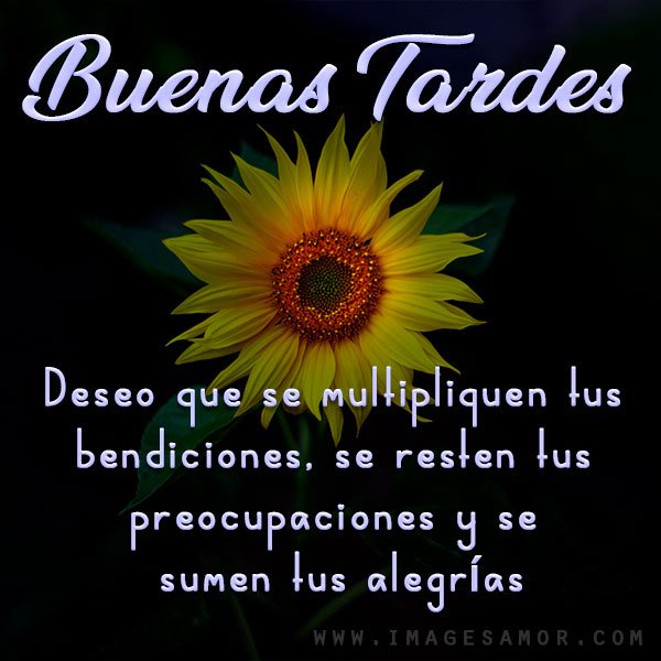 Buenas tardes exelente tarde