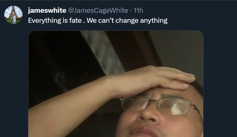 elapses tweet media