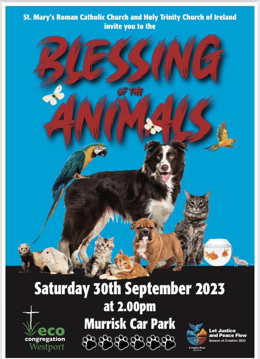 Westport EcoCong (@westecocong) on Twitter photo 