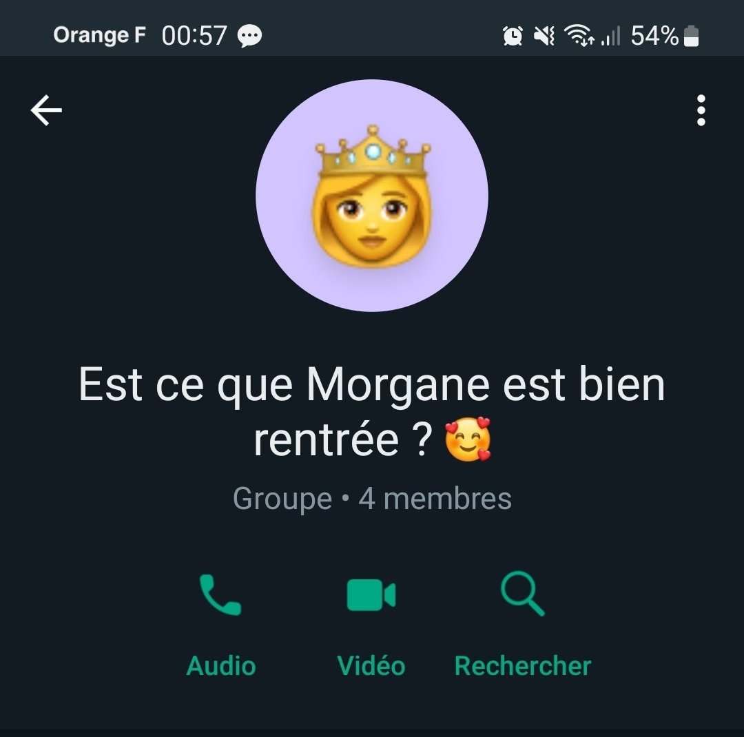 Smajys's tweet photo. Ce soir, suite à un afterwork un peu tardif avec des collègues où j'étaisla seule meuf, ils ont créé un groupe WhatsApp pour s'assurer que je rentrais en sécurité chez moi. 🥰 https://t.co/Jdt2g2grOU