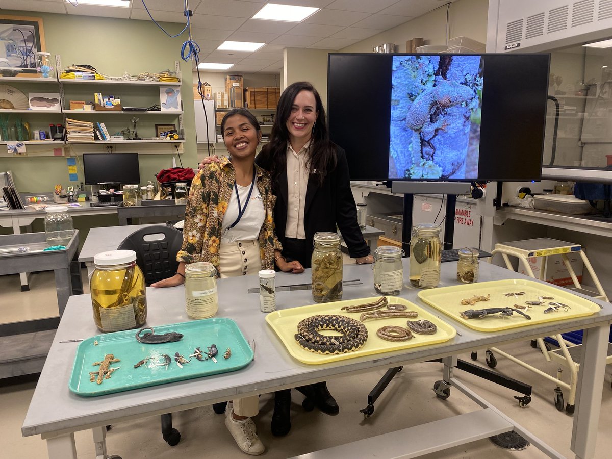 Fandresena Rakotoarimalala (@fandresenarak) on Twitter photo It was a pleasure to share about Madagascar reptiles and talk more Chameleons project π²π¬π²π¬π¦π¦π¦with my beautiful advisor <a href="/Sara_and_Snakes/">Sara Ruane</a> <a href="/FieldMuseum/">Field Museum</a> It was a pleasure to share about Madagascar reptiles and talk more Chameleons project π²π¬π²π¬π¦π¦π¦with my beautiful advisor <a href="/Sara_and_Snakes/">Sara Ruane</a> <a href="/FieldMuseum/">Field Museum</a>