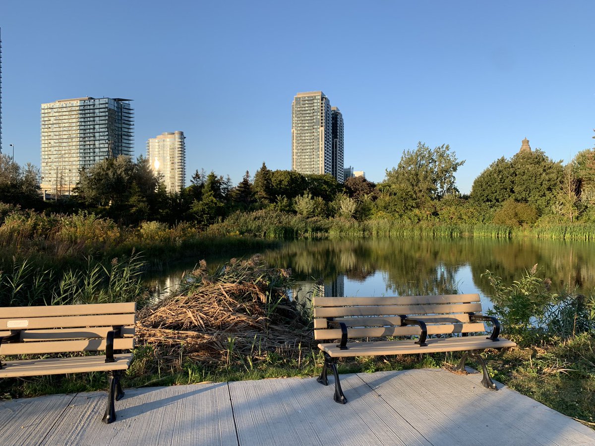 Nelson Lee tweet media