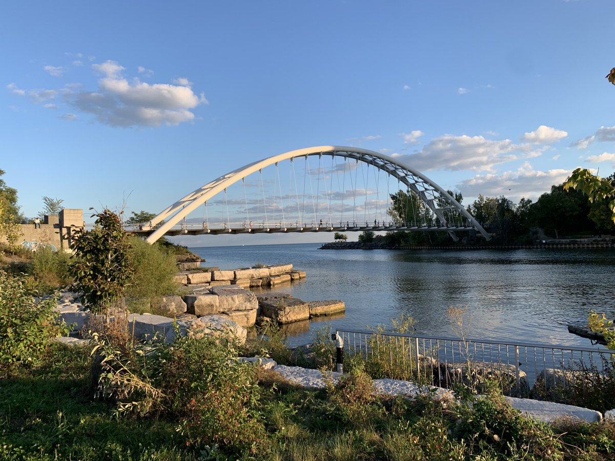 Nelson Lee tweet media