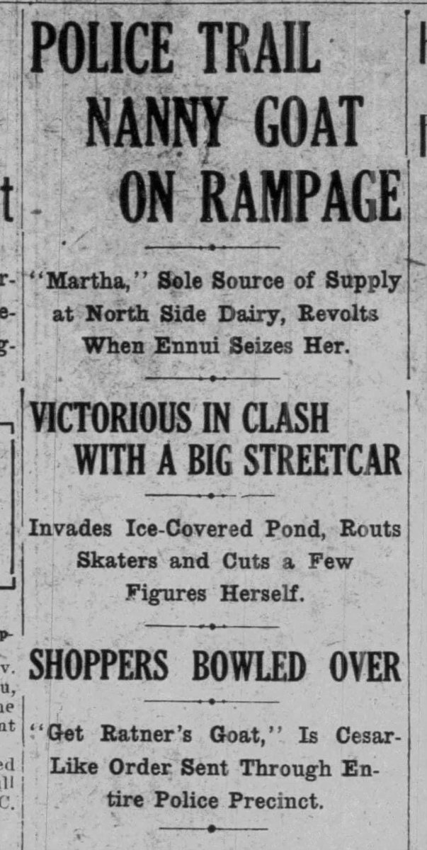 Hey, <a href="/grogtalk/">GROGTALK - Officially Approved by DELF</a>!  Could you guys PLEASE get Goatalicious under control!  He’s a menace, I say!!!  😂