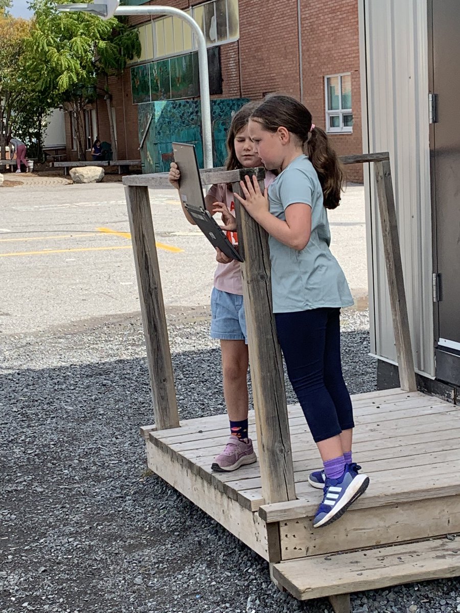 Mrs. Cook tweet media