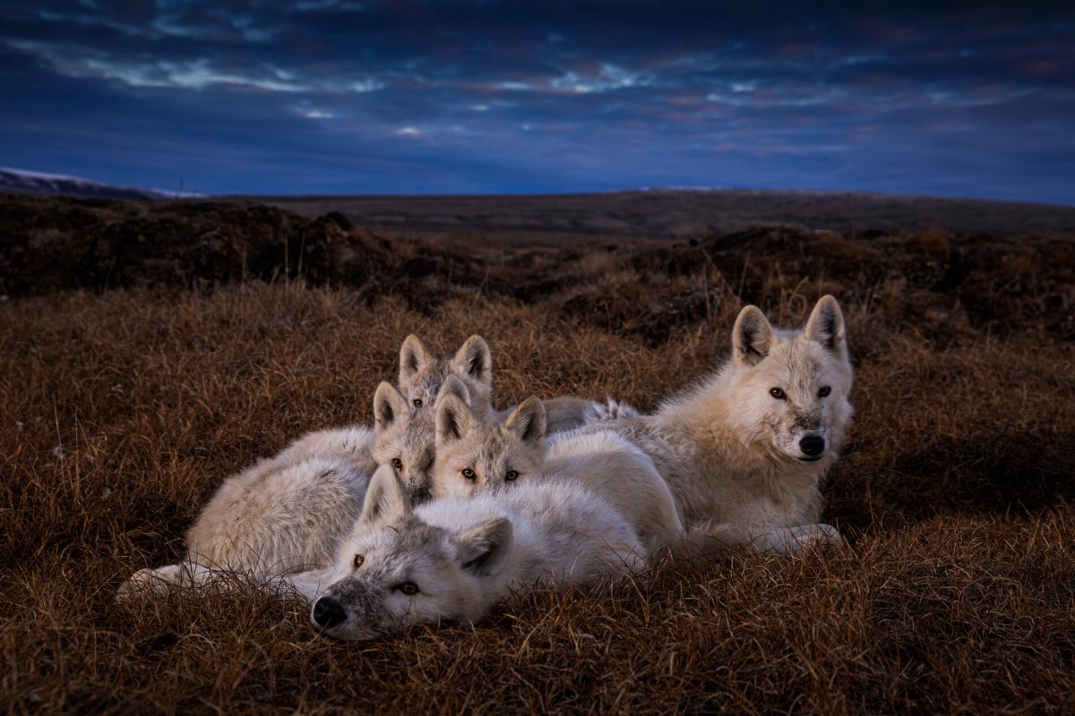 Changemaker Talent tweet media