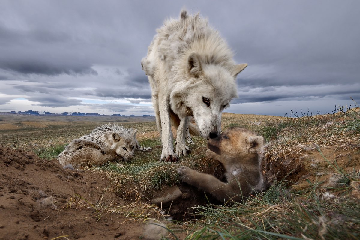 Changemaker Talent tweet media