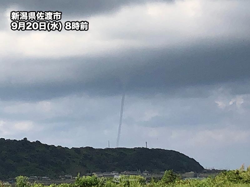 wni_jp's tweet photo. ＜新潟県に「ろうと雲」　竜巻などの突風注意＞
今日20日(水)の8時前、新潟県佐渡市に「ろうと雲」が出現しました。ろうと雲は発達した積乱雲の底から柱状の雲が垂れ下がる現象で、地面や海面にまで達すると「竜巻」と呼ばれます。
この後も竜巻などの突風に注意が必要です。
https://t.co/pyJlldYo0Y https://t.co/Ec0GnrzdeT