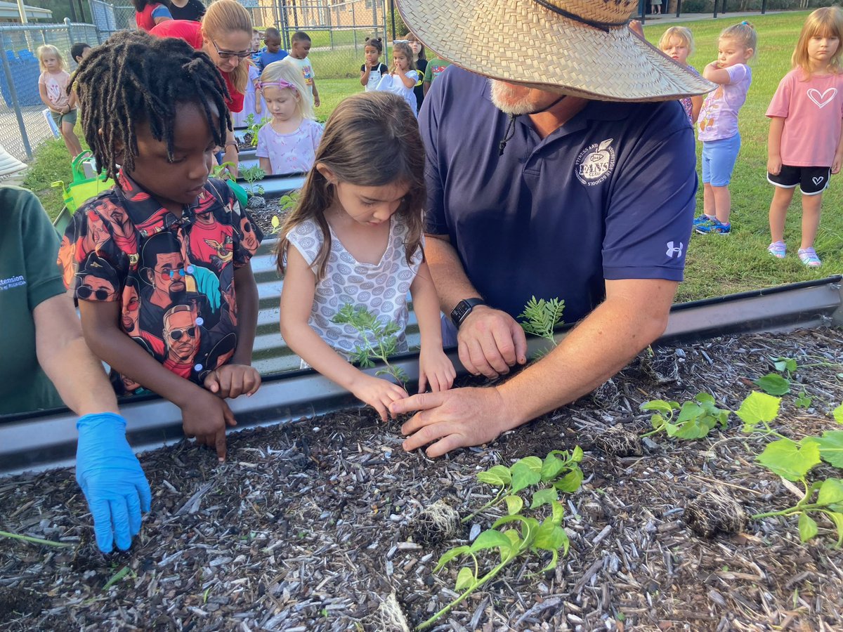 Christopher Roy tweet media