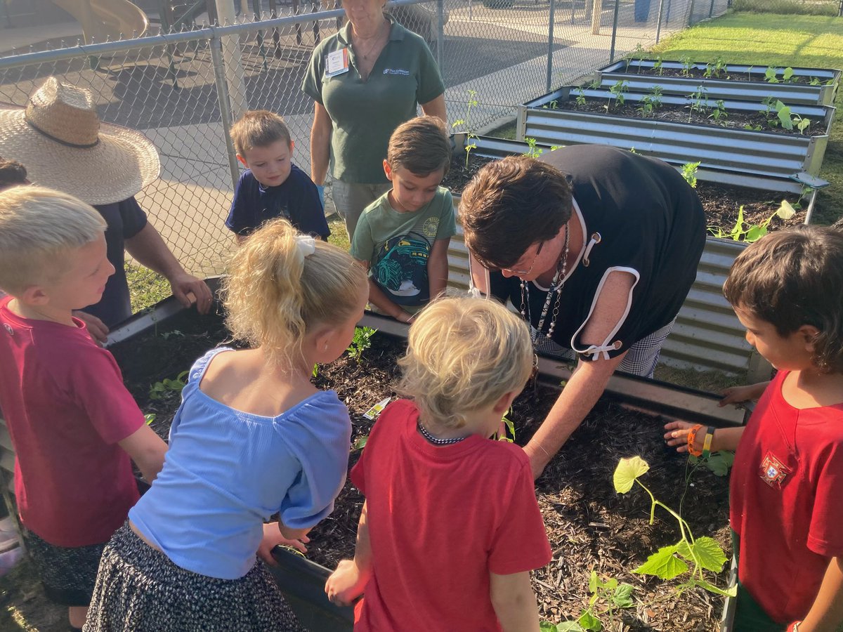 Christopher Roy tweet media