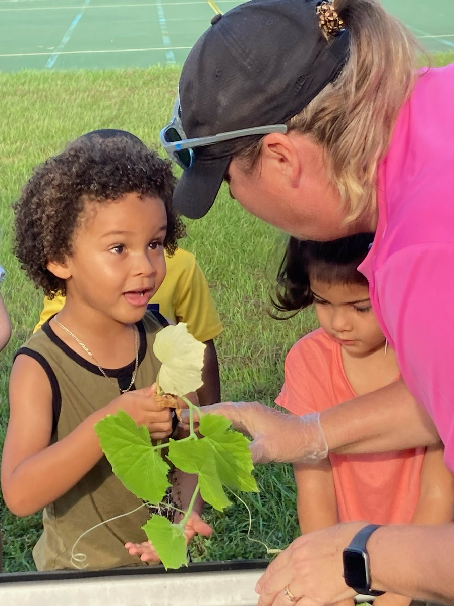 Christopher Roy tweet media