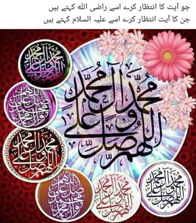 Malik Farook (@malikfaroo41892) on Twitter photo 