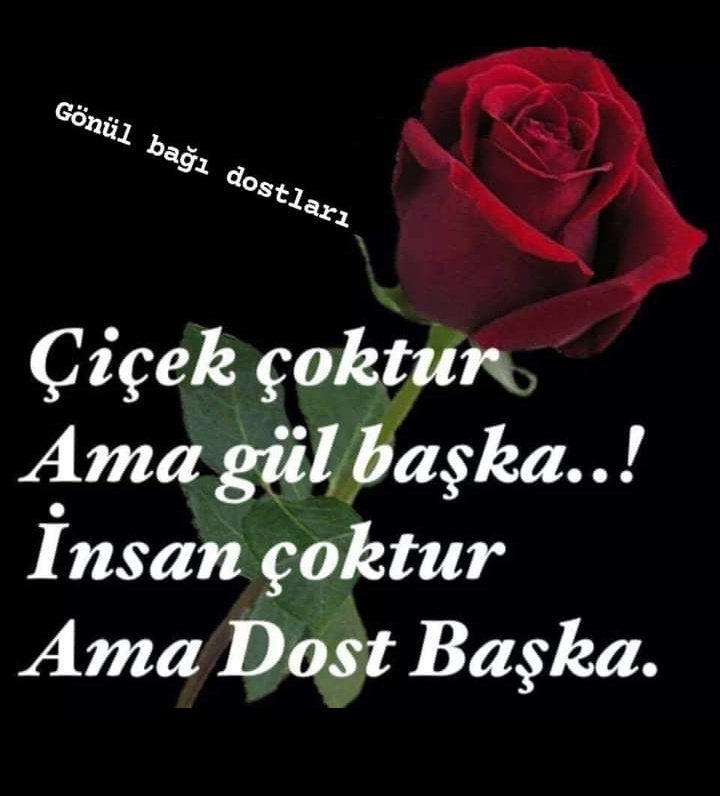 KaifDoan's tweet photo. Bismillahirrahmanirrahim 

#EsseLamuALeykümVerahmetullahu

#SeherHacetVeTeheccutVakti 

Çiçek çoktur!

Ama Gül 

Başkadır...❗

İnsan çoktur

Ama Dost

Başkadır...

Yaşayınca

Anlarsınız...🌹

Allah Günahlarımızı af 

Tövbelerimizi kabul etsin 🤲

İnşallah 🌷

#BereketliSeherler https://t.co/twu2FmP5g7