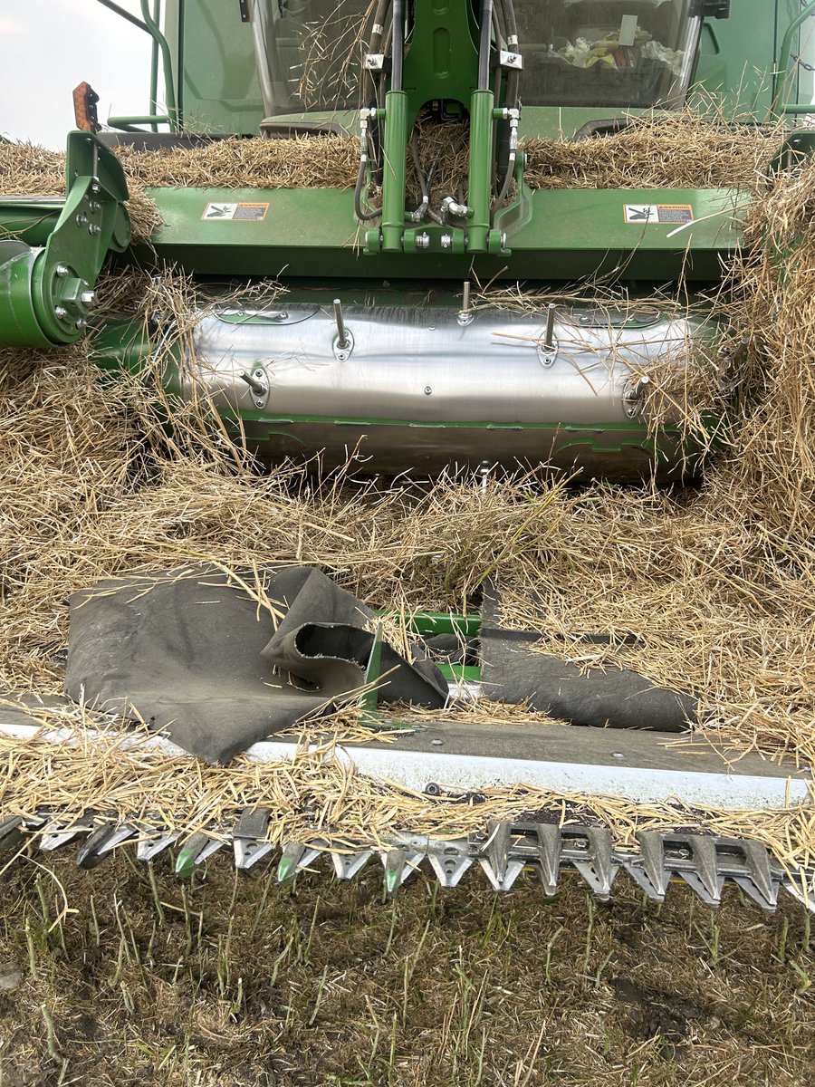 Blake Duchek tweet media