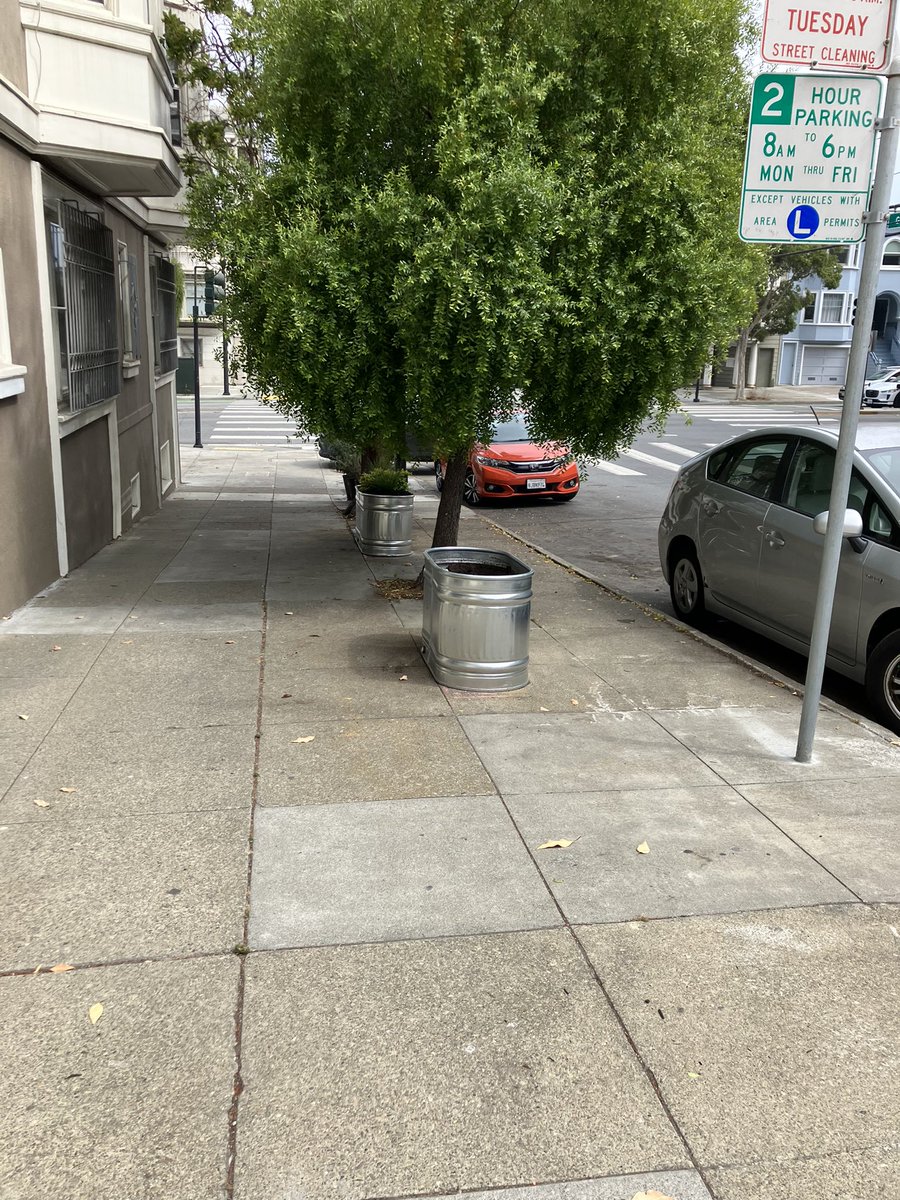 Kelley Cutler tweet media