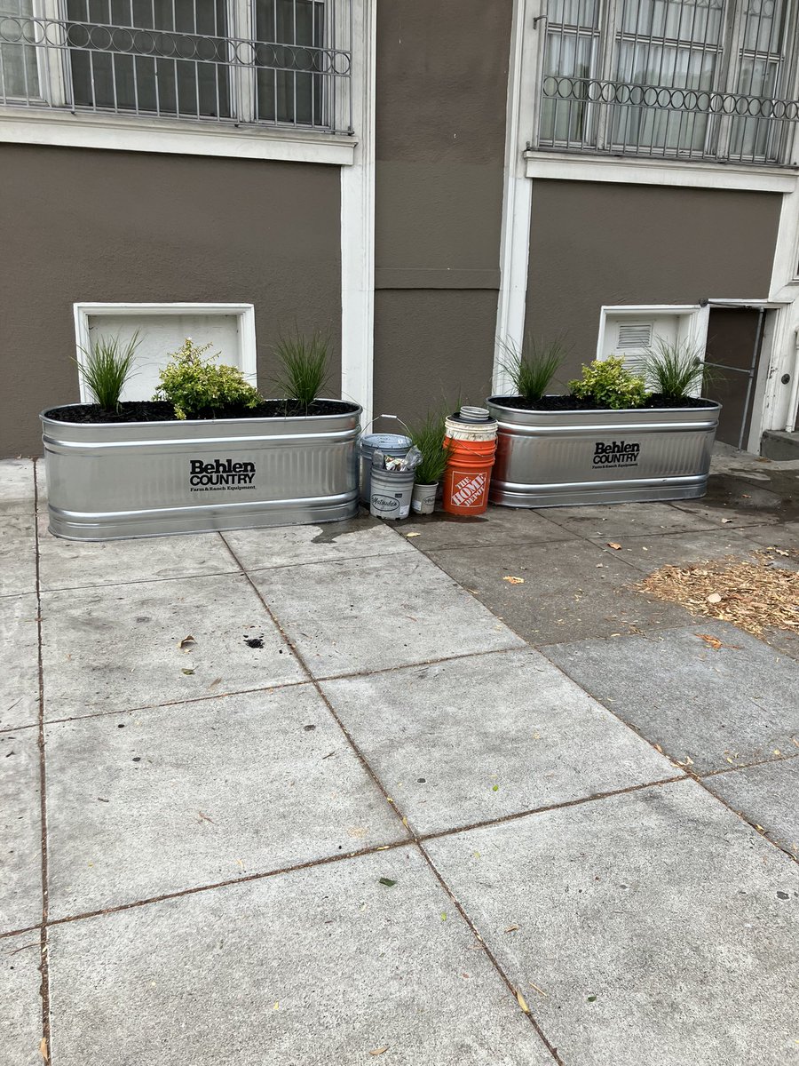 Kelley Cutler tweet media