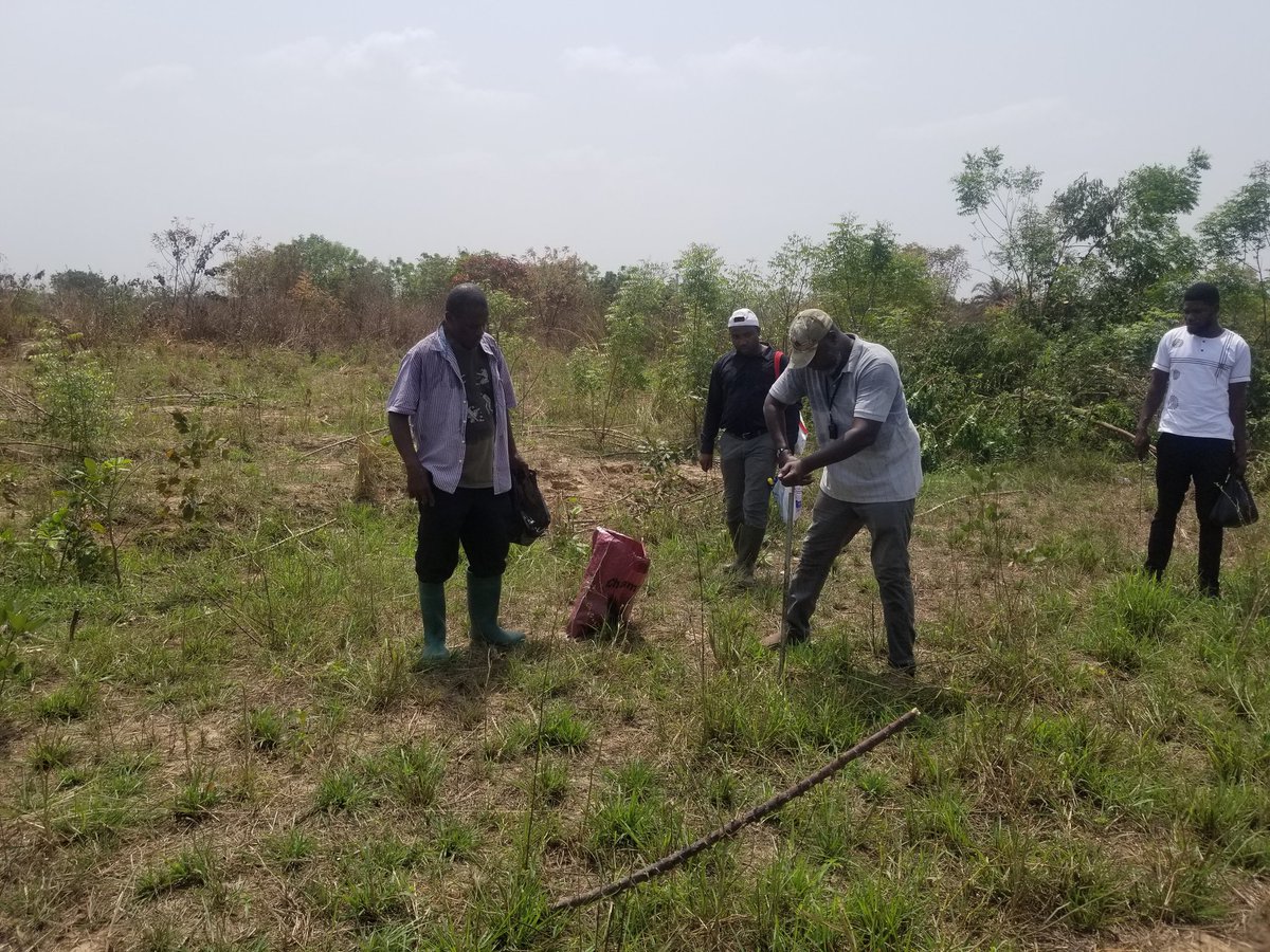 breeder_steve's tweet image. Soil sampling at the new farm.  Permanent water supply, but elevated enough to avoid flooding.  1000 arable acres on this farm, 100 to be sown early 2024.  Prepping now.
Will you come and visit the #LivingLibrary?