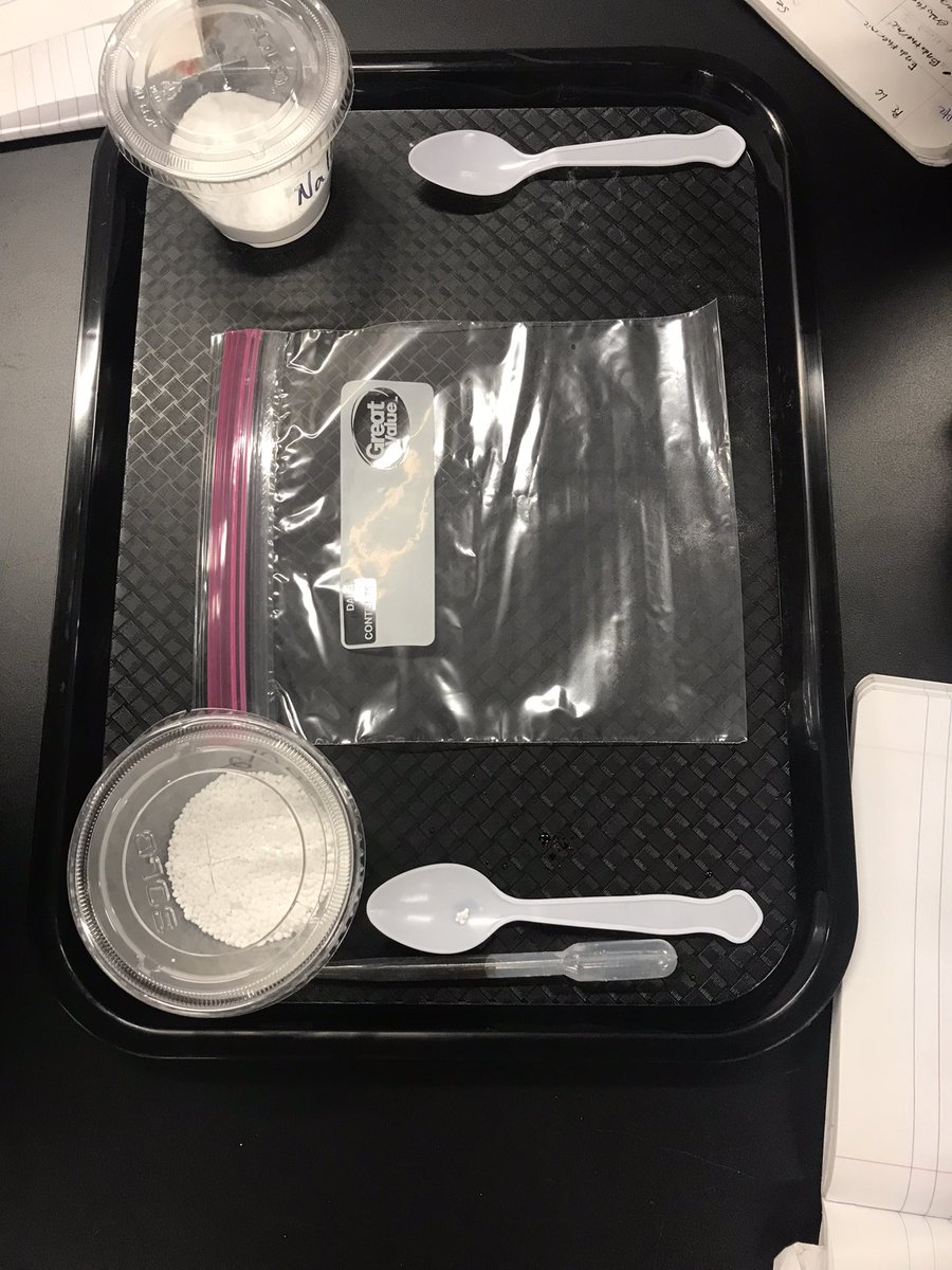 Allison Atkinson tweet media