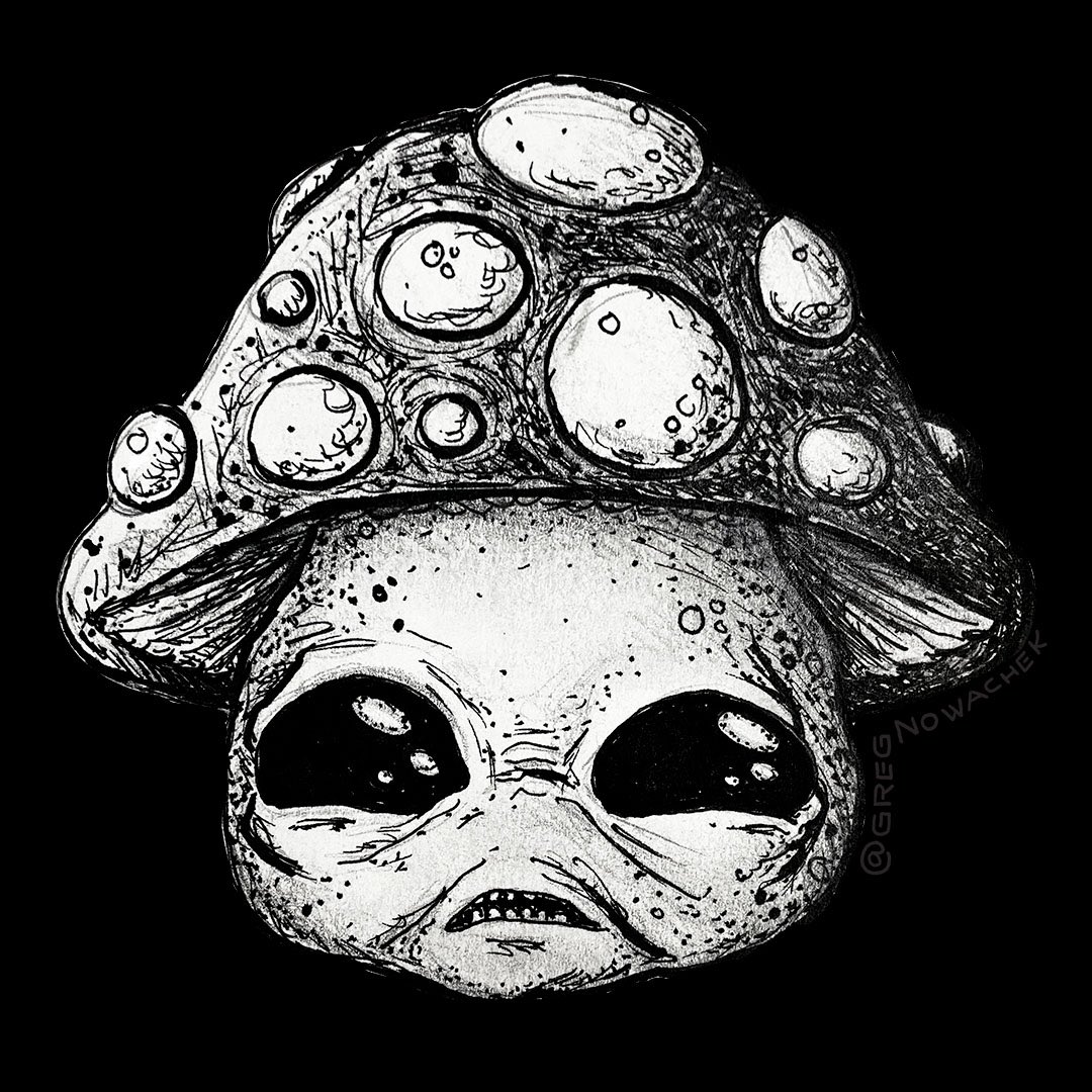 gregnowachek's tweet photo. What do you get when you combine an alien with a mushroom? Or maybe it looks like a baby alien? Or Toad with a bad hangover? Lol #mushroomart #faerieart #darkfantasy #greyalien #spookydelic #aliencartoon https://t.co/Uuh0Rz1mkB