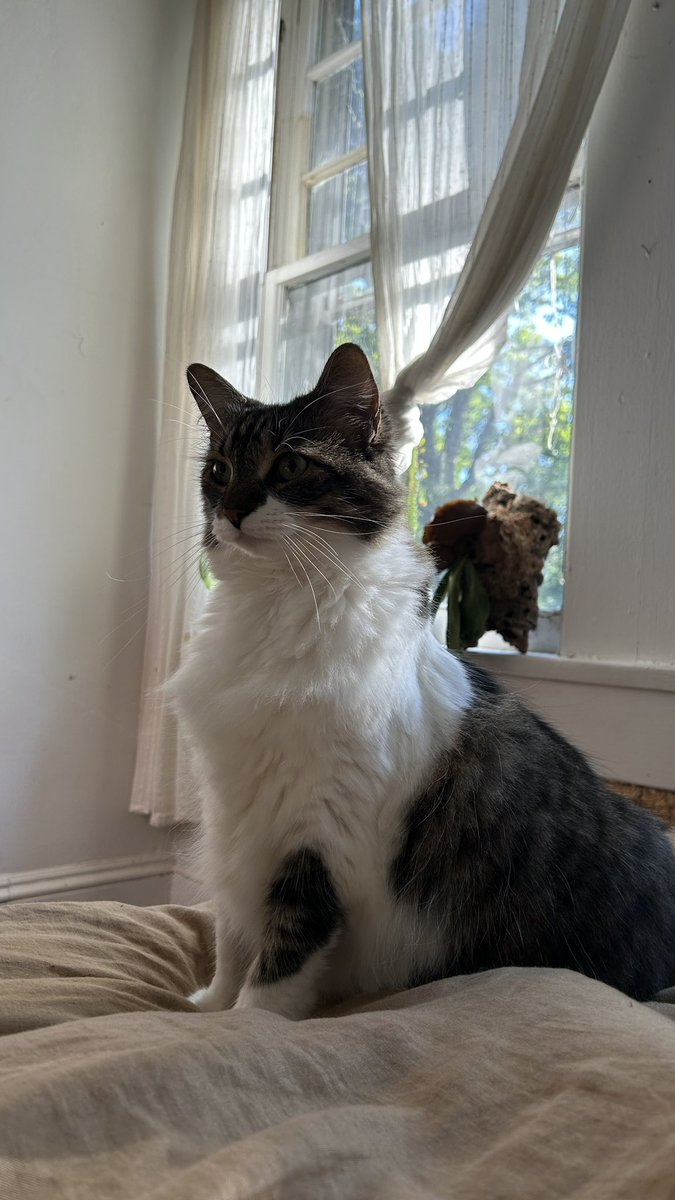 bigevilbug's tweet image. 