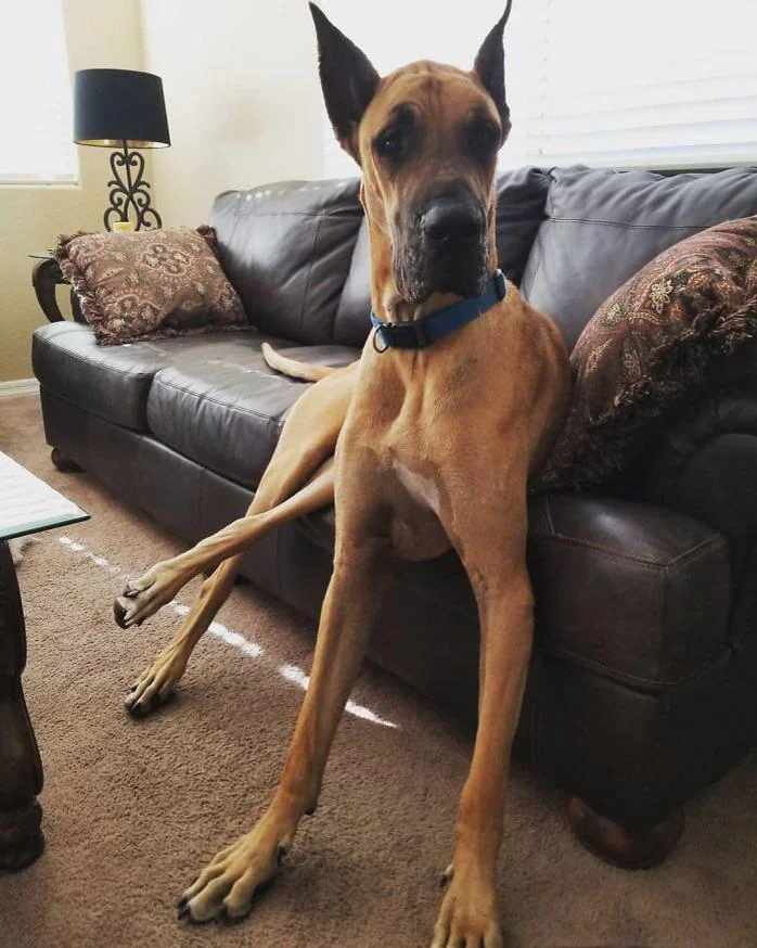 SCOOBYSN4X's tweet photo. i didnt hit the bong i promise https://t.co/b7FoOfNQsZ