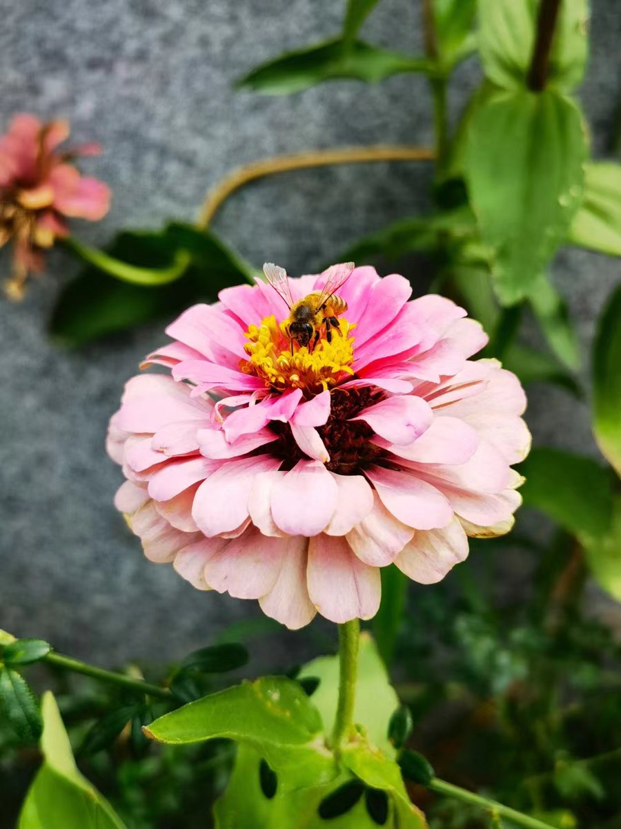 今日嘅天氣十分涼爽，希望能畀平淡嘅生活嚟一絲驚喜...